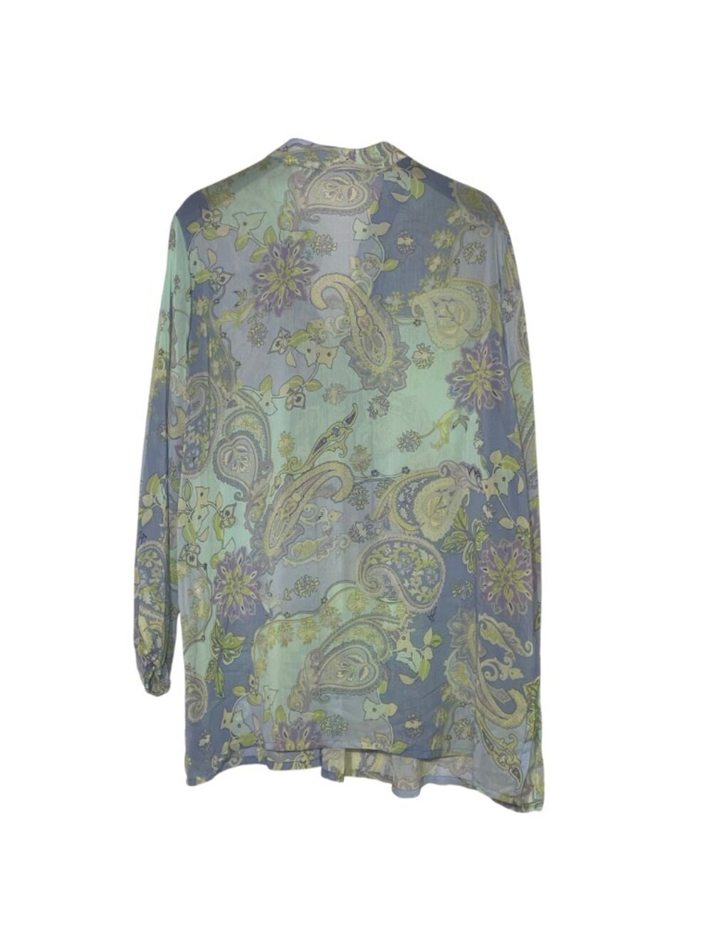 Susan Graver Floral Paisley Pintuck Pleated Sheer Top Sz 2X Pastel Spring - Picture 2 of 8